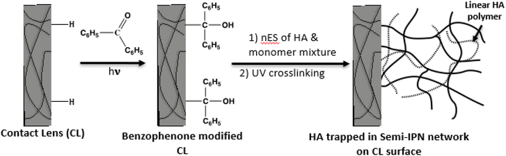 image file: d5pm00237k-f2.tif