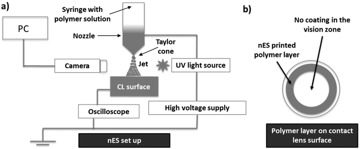 image file: d5pm00237k-f3.tif