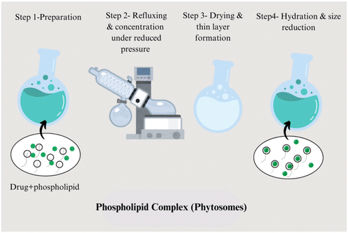 image file: d5pm00243e-f1.tif
