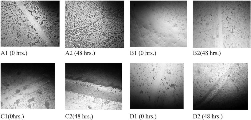 image file: d5pm00243e-f6.tif