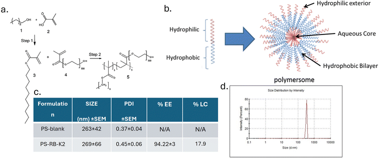 image file: d5pm00259a-f2.tif