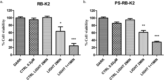 image file: d5pm00259a-f4.tif
