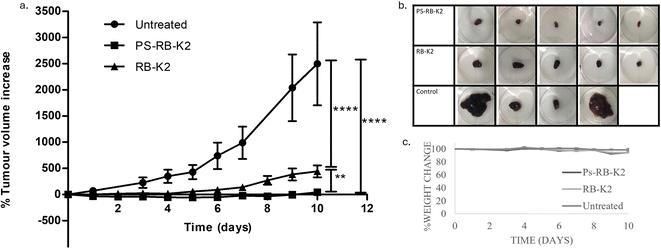 image file: d5pm00259a-f5.tif