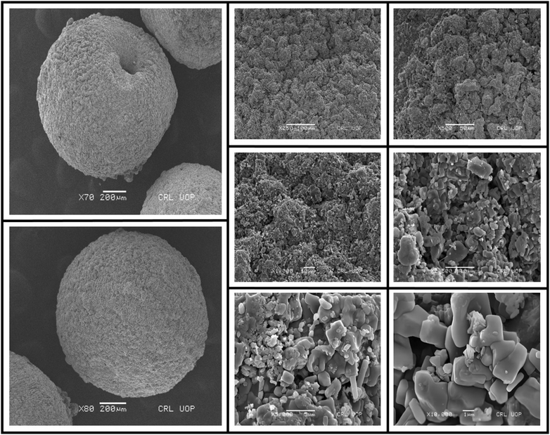 image file: d5pm00263j-f5.tif