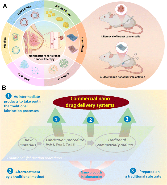 image file: d5pm00265f-f1.tif