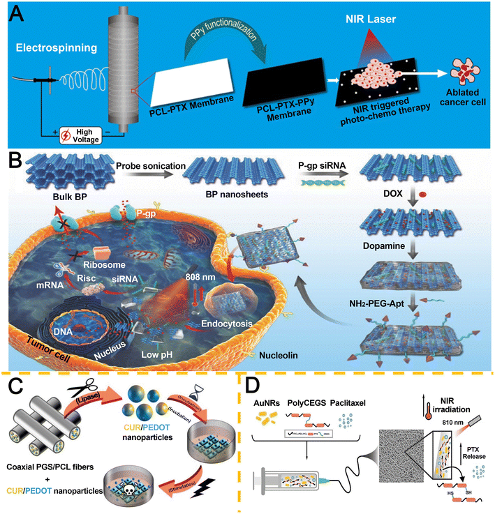 image file: d5pm00265f-f11.tif