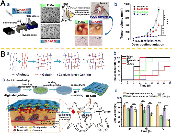 image file: d5pm00265f-f3.tif