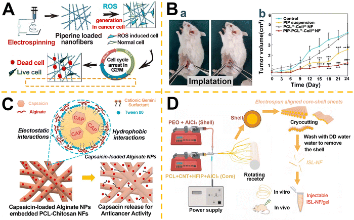 image file: d5pm00265f-f4.tif