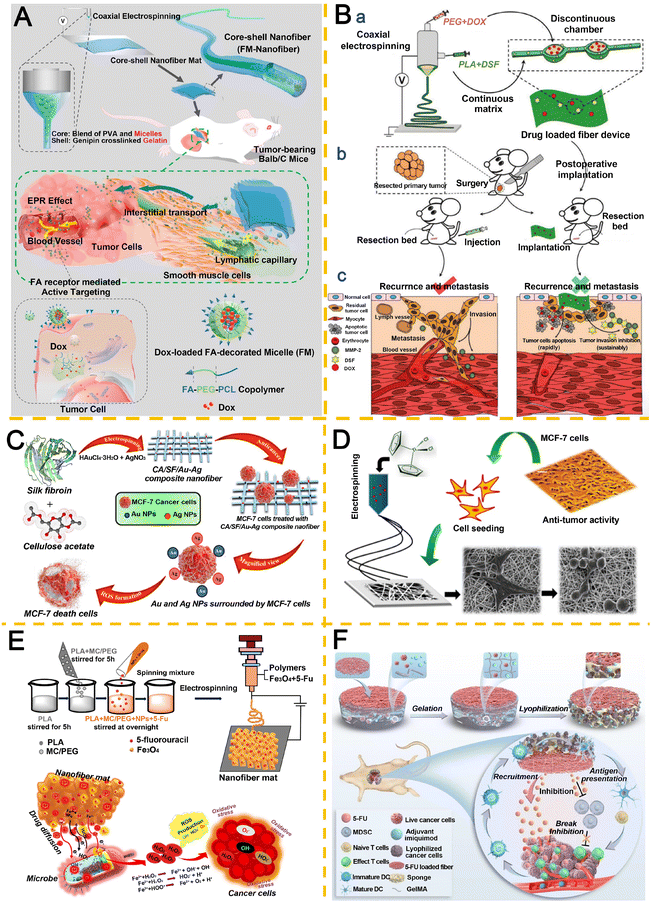 image file: d5pm00265f-f5.tif