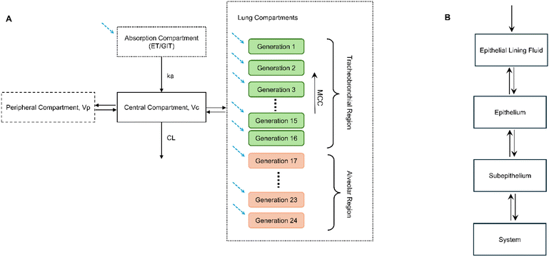 image file: d5pm00266d-f1.tif