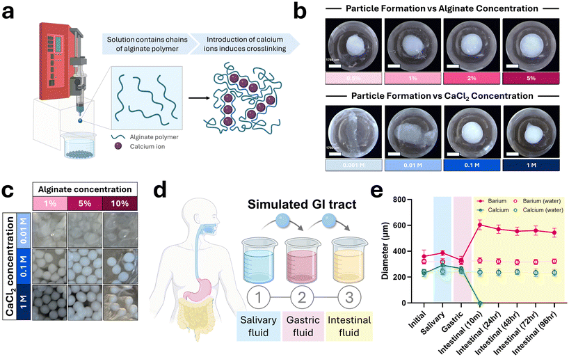 image file: d5pm00288e-f1.tif