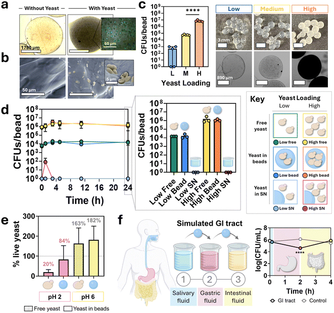 image file: d5pm00288e-f2.tif