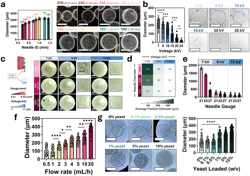 image file: d5pm00288e-f3.tif