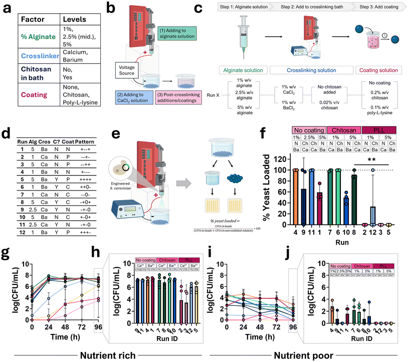 image file: d5pm00288e-f6.tif