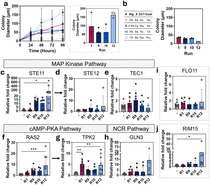 image file: d5pm00288e-f8.tif