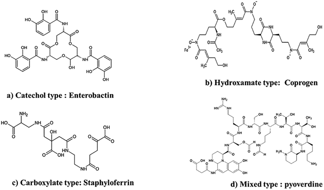 image file: d5pm00300h-f2.tif