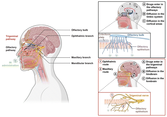 image file: d5pm00329f-f1.tif