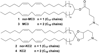image file: d5pm00350d-f1.tif