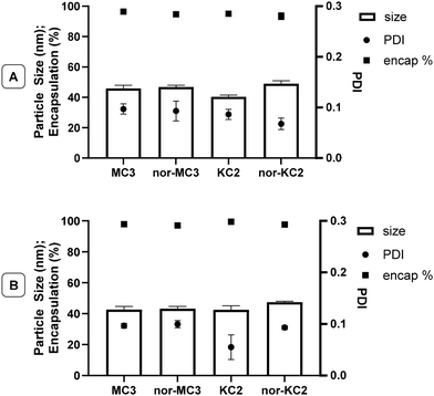 image file: d5pm00350d-f4.tif