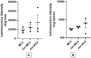 image file: d5pm00350d-f6.tif