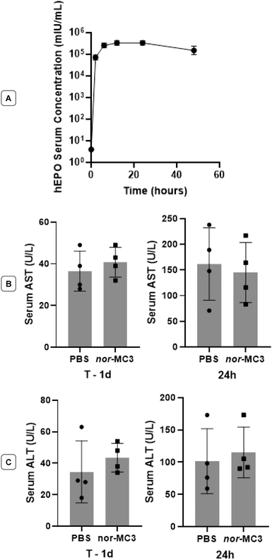 image file: d5pm00350d-f7.tif