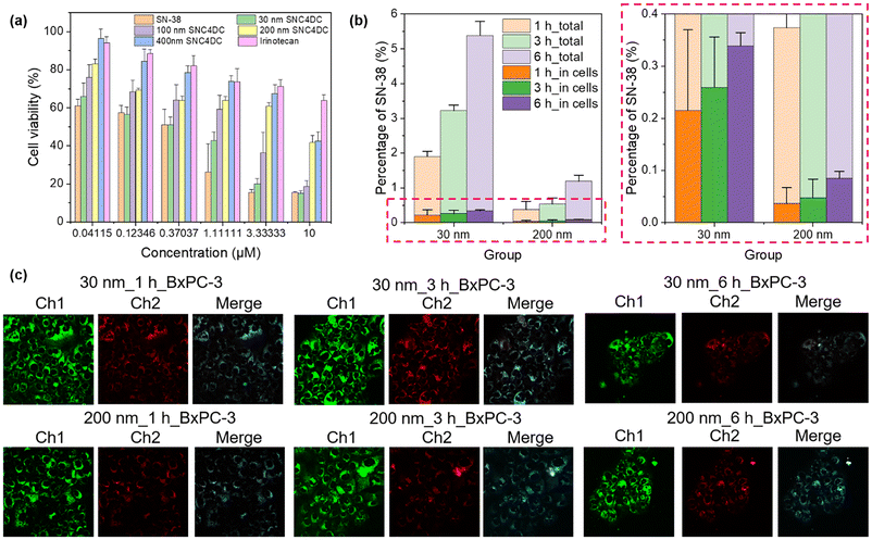 image file: d5pm00364d-f2.tif