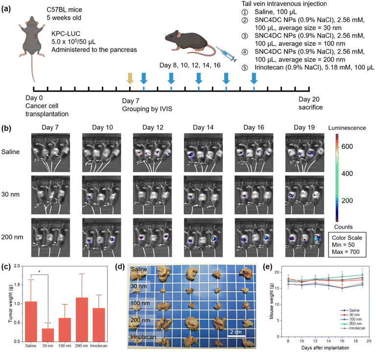 image file: d5pm00364d-f3.tif