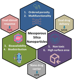 image file: d5pm00390c-s1.tif