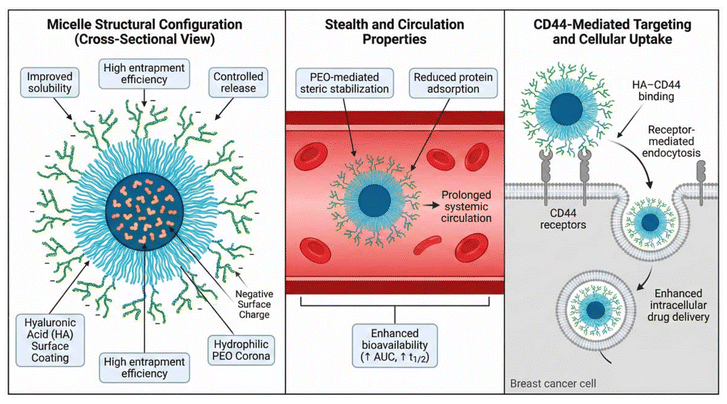 image file: d5pm00391a-f2.tif