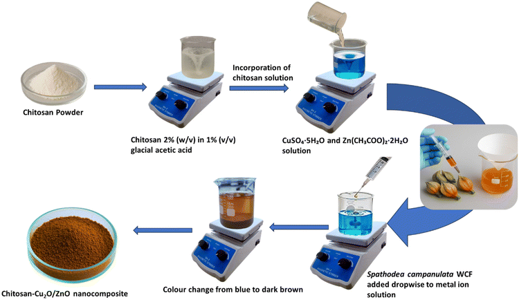 image file: d5pm00392j-s1.tif
