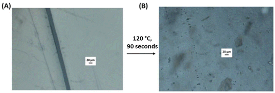 image file: d5py00347d-f7.tif