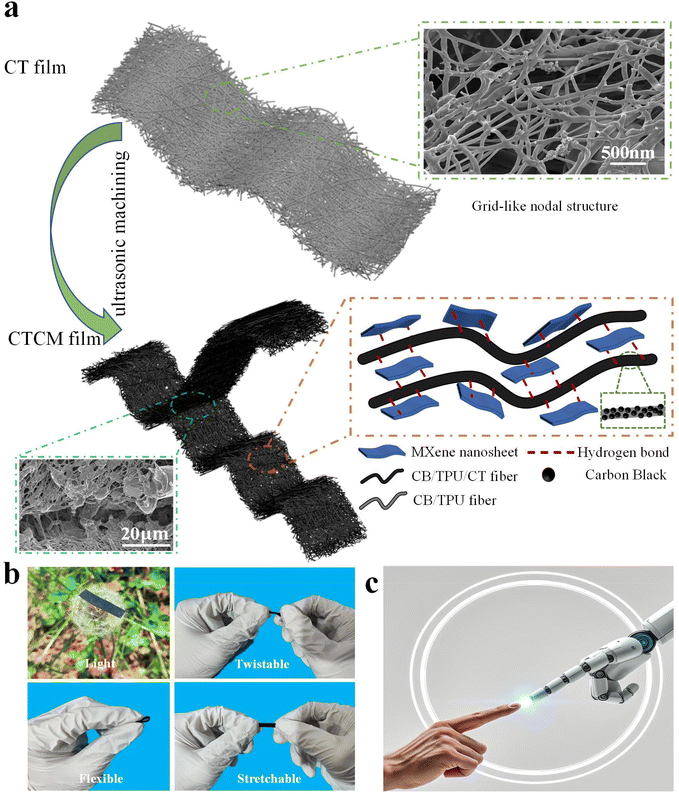 image file: d5py00753d-f1.tif