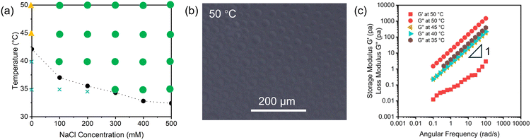 image file: d5py00758e-f3.tif