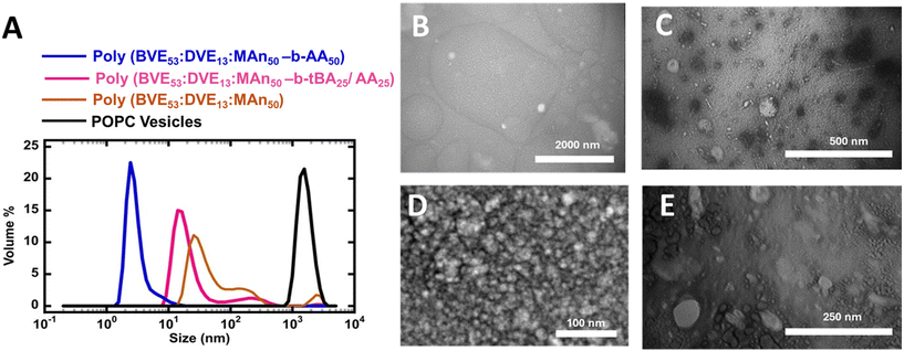 image file: d5py00767d-f2.tif