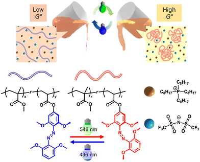 image file: d5py00876j-f1.tif