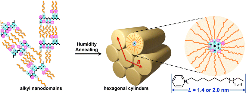 image file: d5py00879d-f4.tif