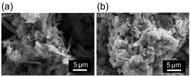 image file: d5py00933b-f2.tif