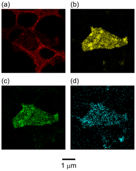 image file: d5py00933b-f4.tif