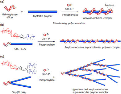 image file: d5py00938c-f10.tif