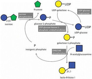 image file: d5py00938c-f12.tif