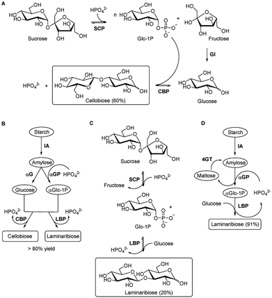 image file: d5py00938c-f13.tif