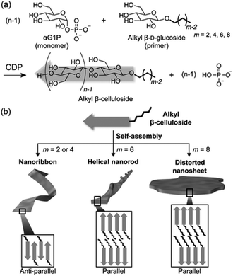 image file: d5py00938c-f14.tif