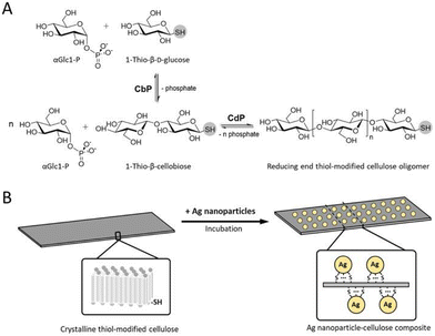 image file: d5py00938c-f15.tif