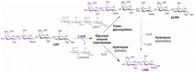 image file: d5py00938c-f16.tif