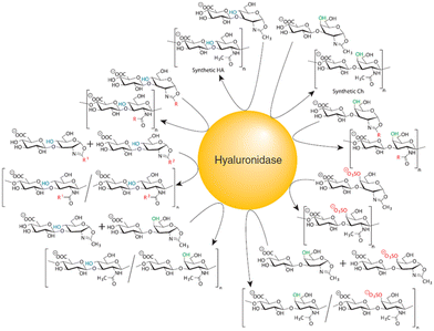 image file: d5py00938c-f18.tif