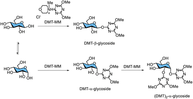 image file: d5py00938c-f19.tif