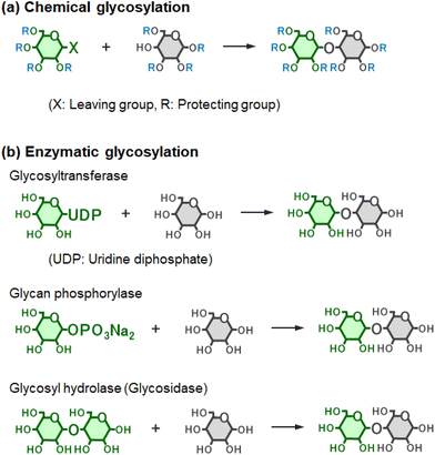 image file: d5py00938c-f2.tif