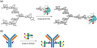 image file: d5py00938c-f21.tif