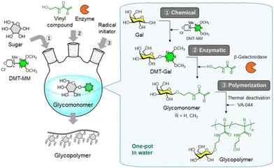 image file: d5py00938c-f22.tif