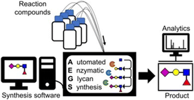 image file: d5py00938c-f3.tif
